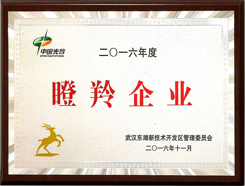 瞪羚企業